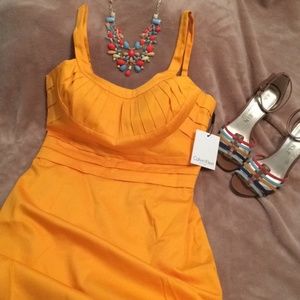 AMAZING Calvin Klein Dress NWT